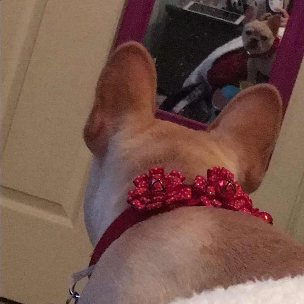 Meet your Posher, Hannah